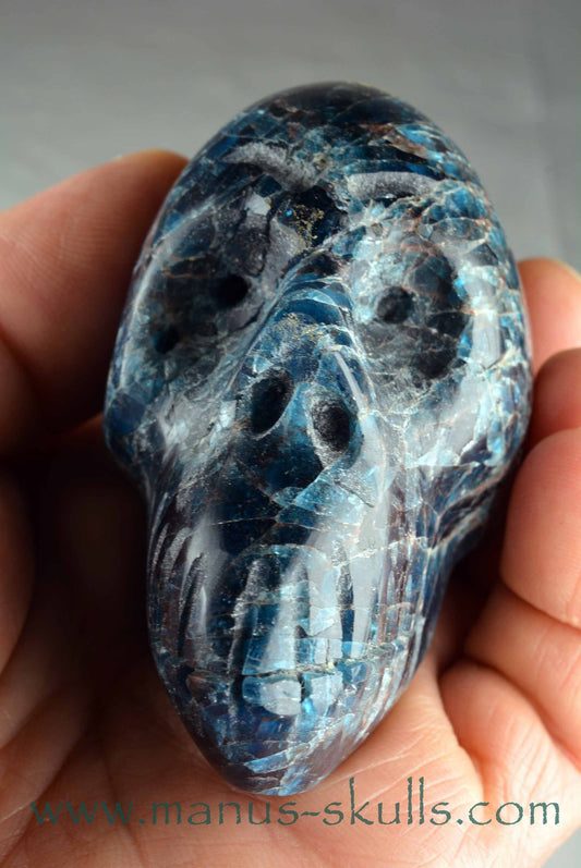 Apatite Skull