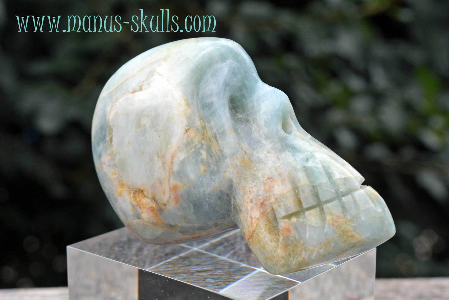 Aquamarine Skull