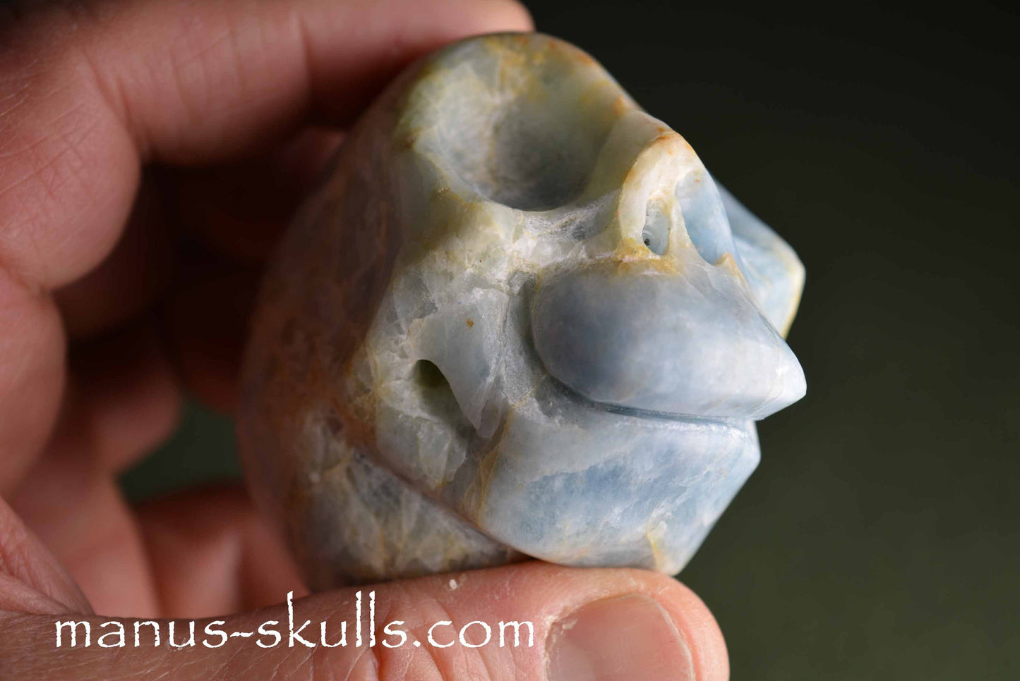 Aquamarine Skull