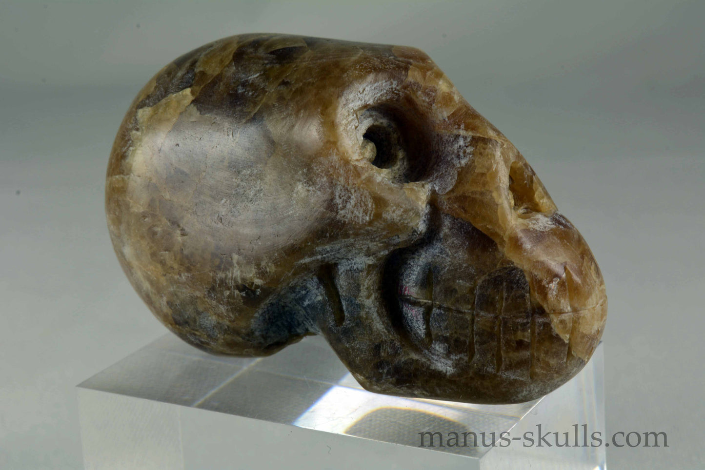 Aragonite Skull