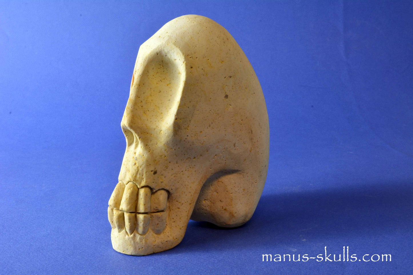 Arizona Sandstone Skull