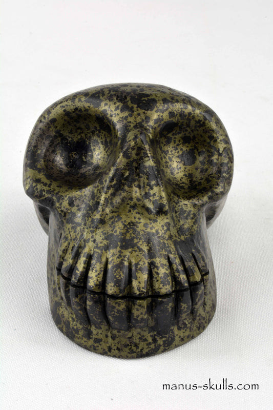 Bornite Skull