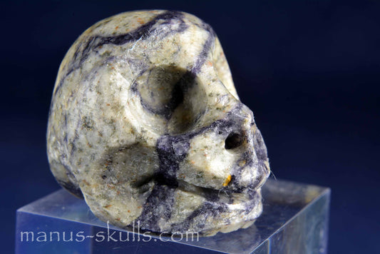 Bertrandite Skull