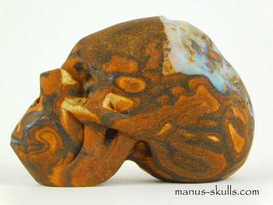 Boulder Opal Skull