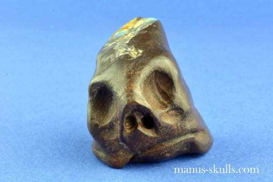 Boulder Opal Skull