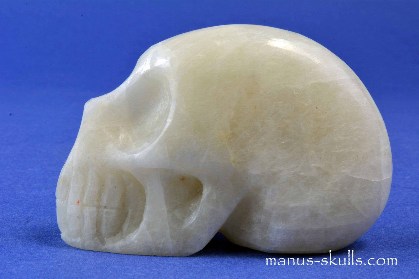 Cryolite Skull