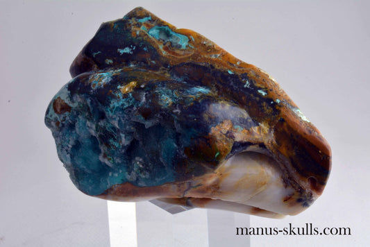 Chrysocolla Dragon