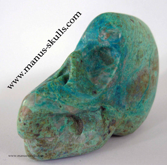 Chrysocolla Skull