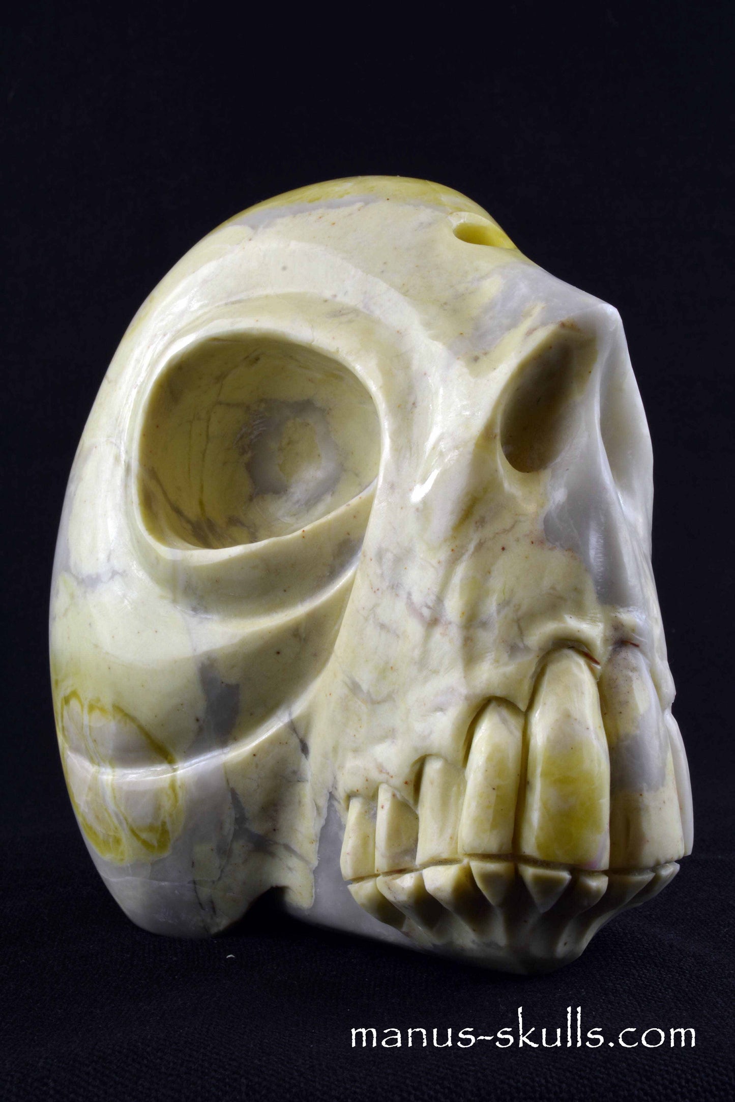 Connemara Skull