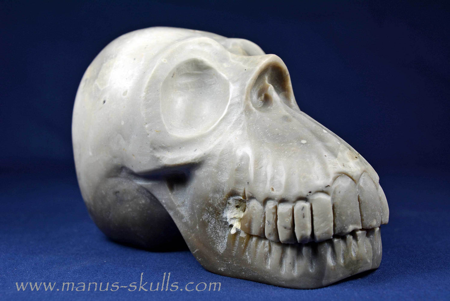 Flint Skull