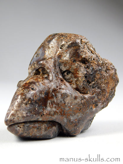 Toothless Tsesite Skull