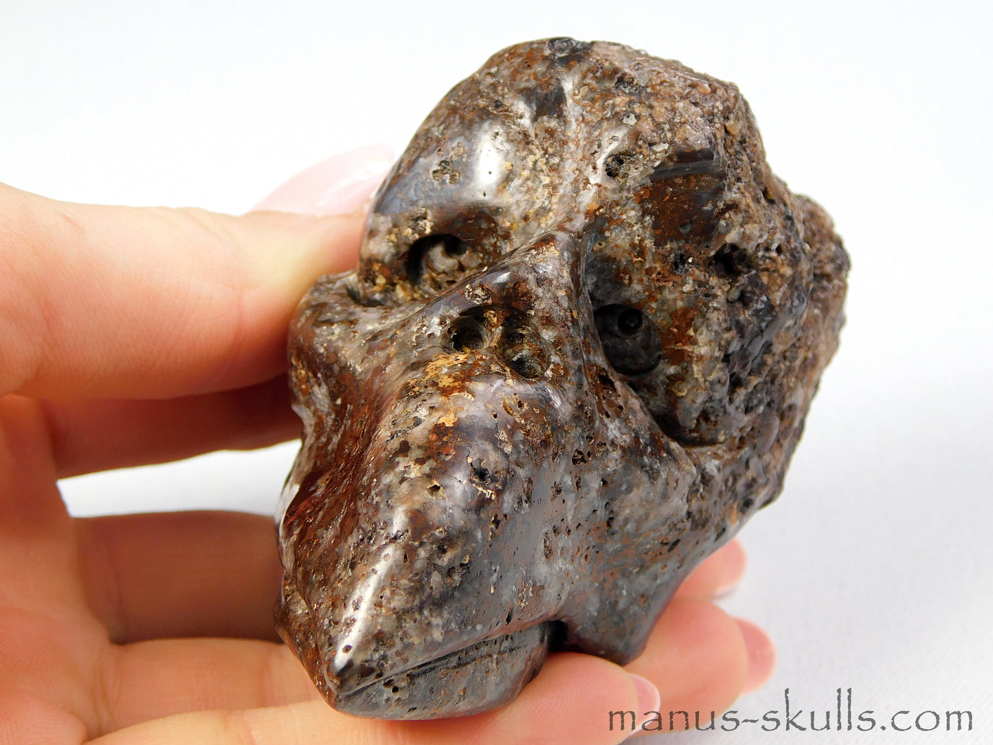 Toothless Tsesite Skull
