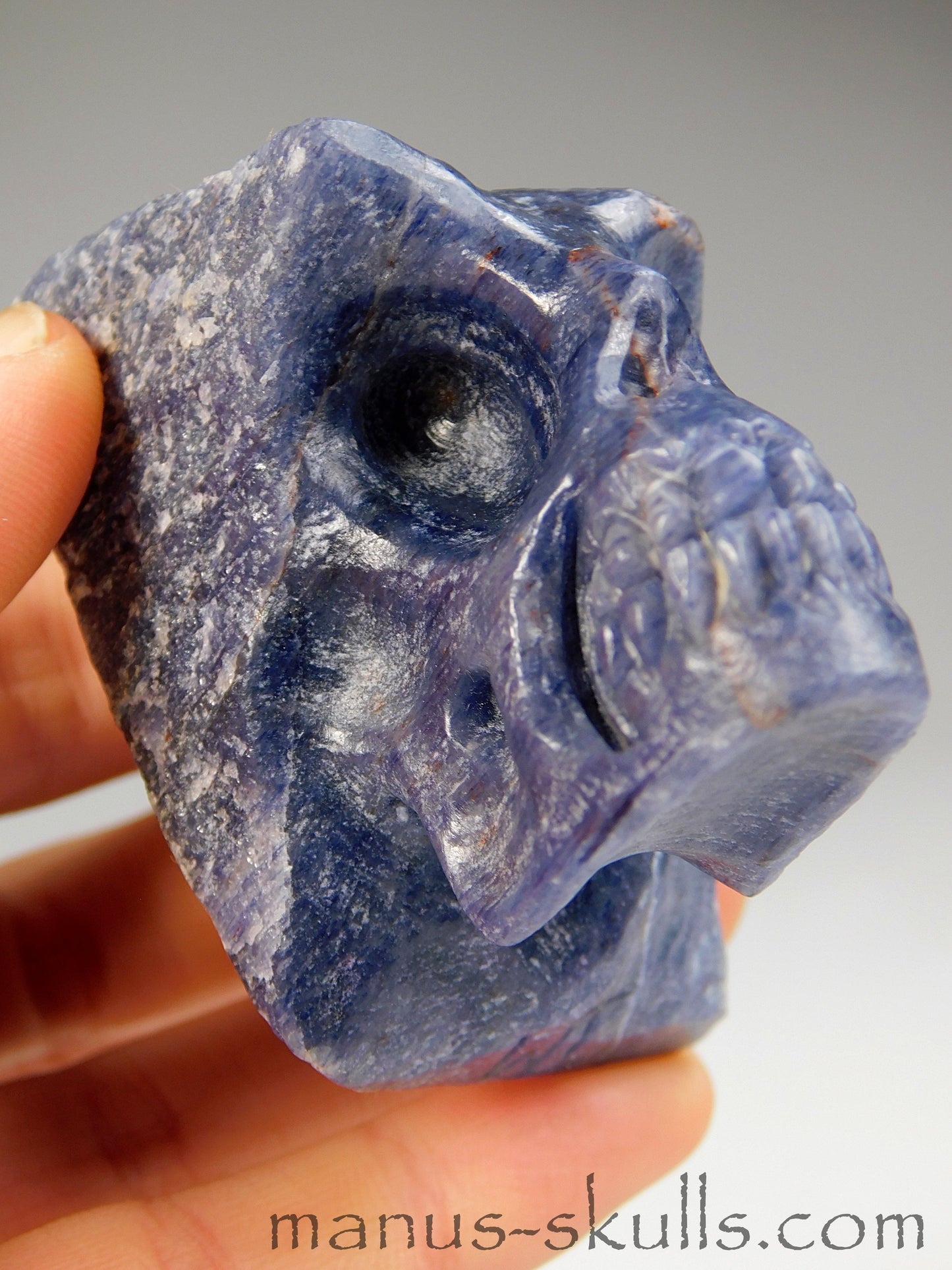 Iolite Skull