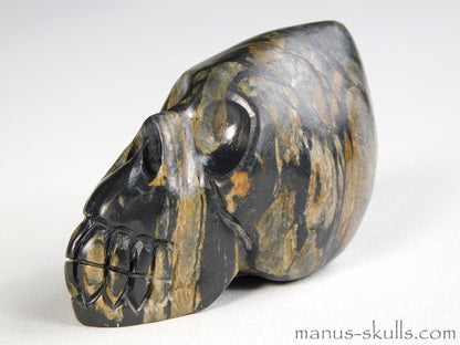 Isua Conehead Skull