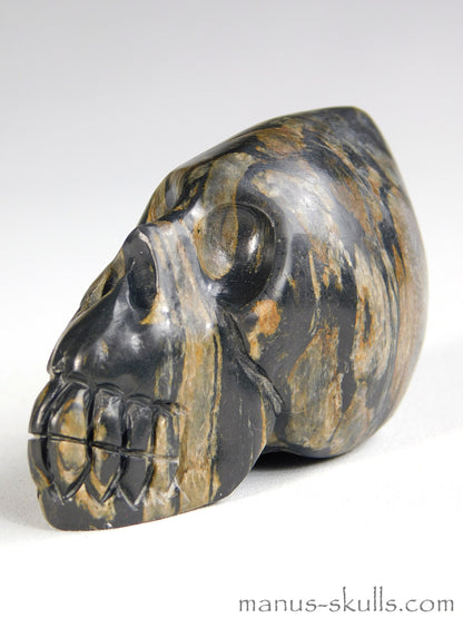 Isua Conehead Skull