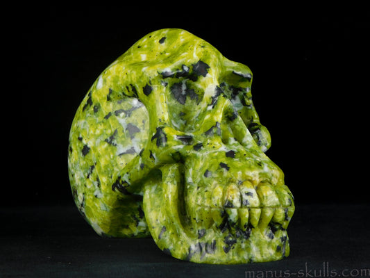 Lizardite Skull