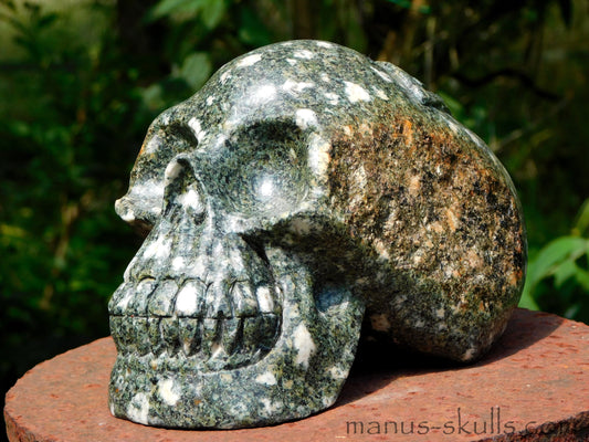 PRESELI BLUESTONE Celtic Knot SKULL Triquetra