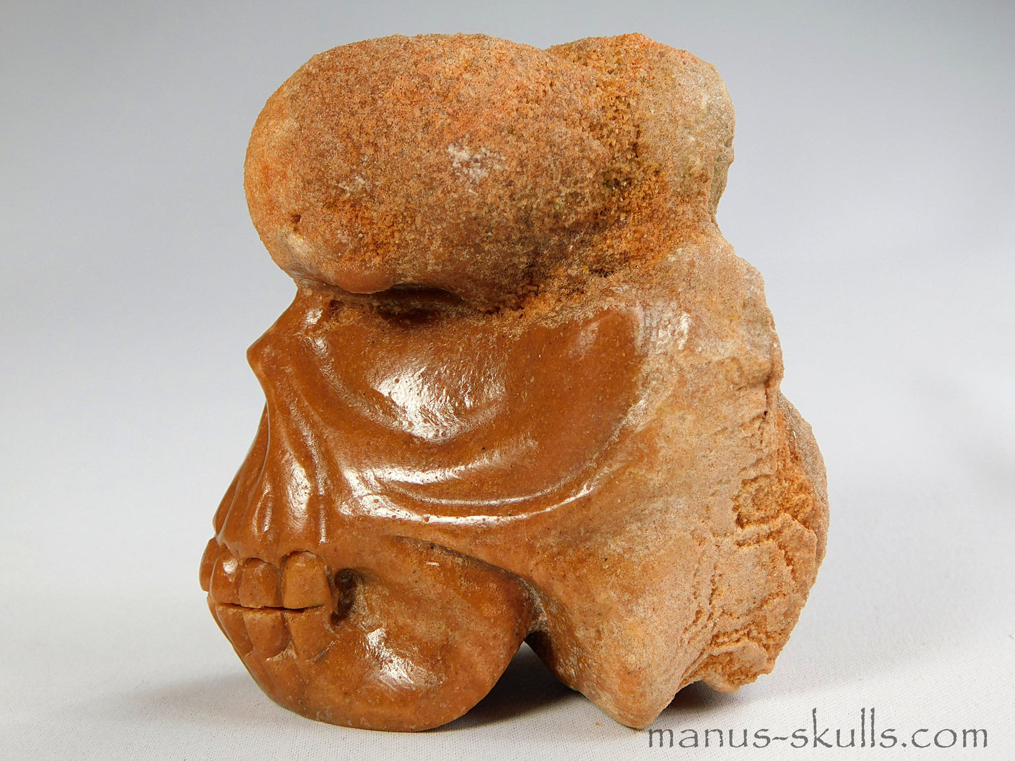 Stromatolite Skull