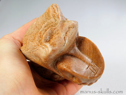 Stromatolite Skull