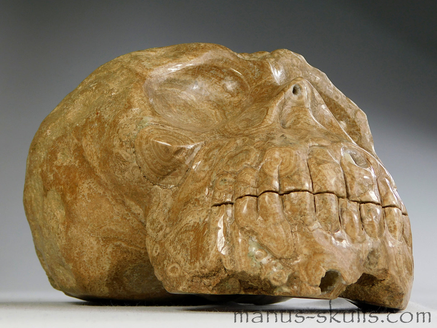 Large Nodul Aragonite Skull