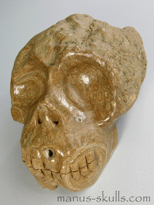 Large Nodul Aragonite Skull