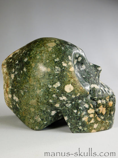 Large Preseli Bluestone Skull