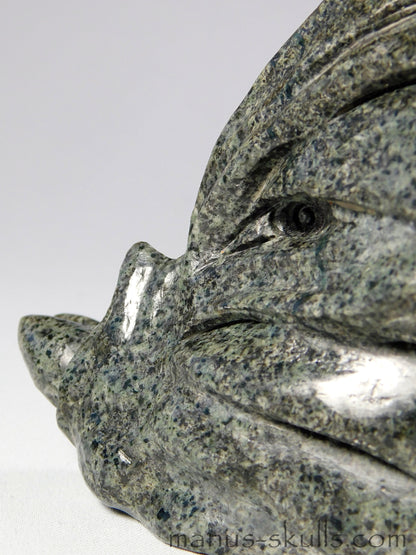 Unspotted Preseli Bluestone Dragon