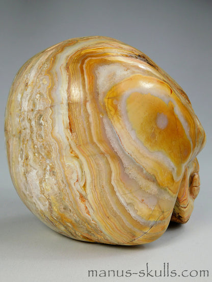 Large Crazy Lace Agate Skull