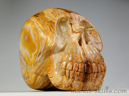 Large Crazy Lace Agate Skull