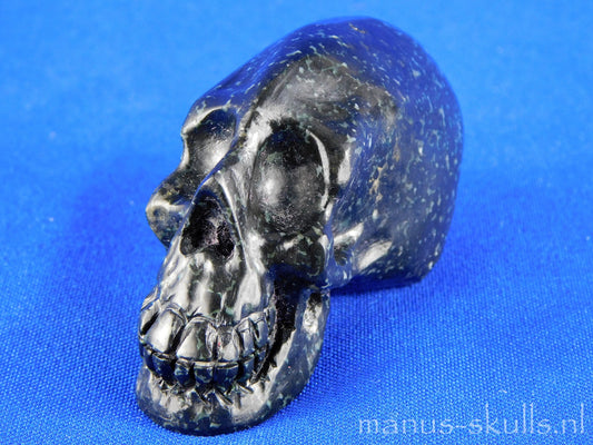 Bronzite Skull