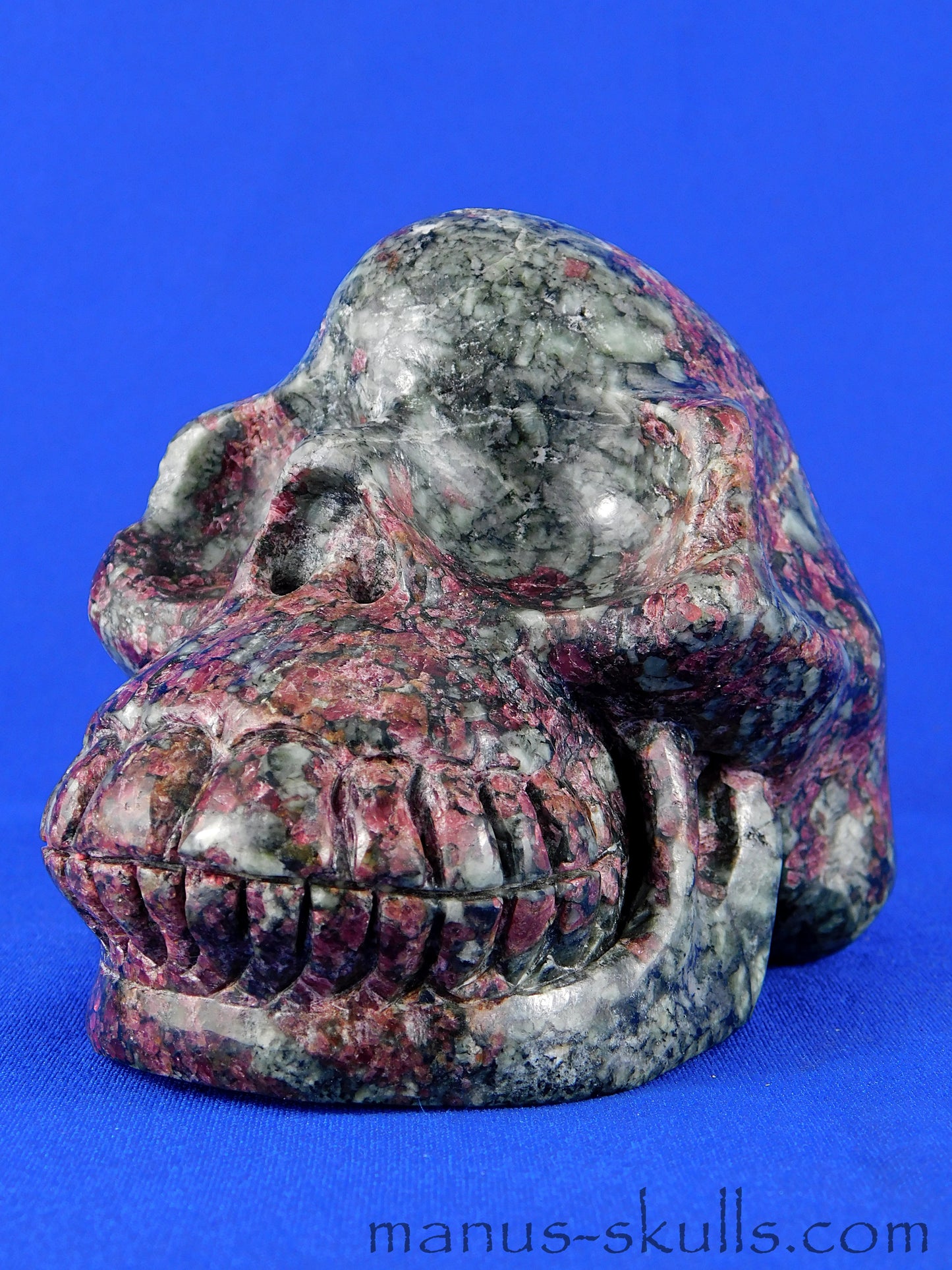 Eudialyte (Russia) Skull