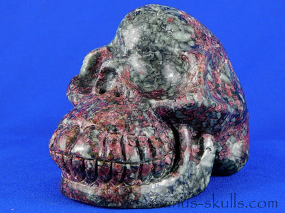Eudialyte (Russia) Skull