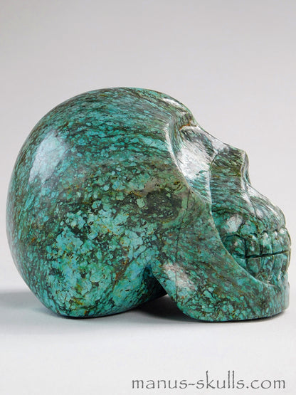 Large Turquoise Skull