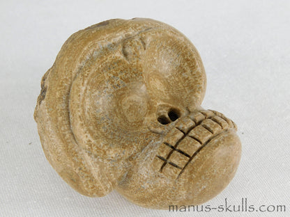 Aragonite Evolian Skull #04