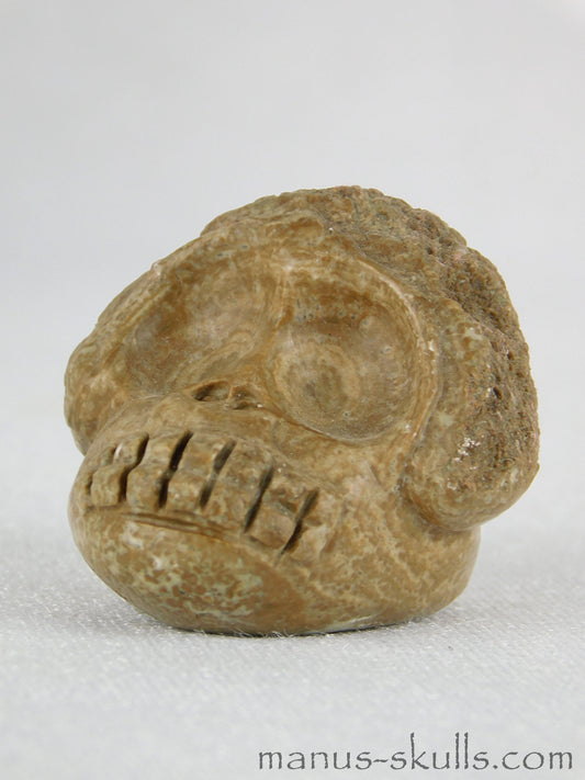 Aragonite Nodul Evolian Skull #05