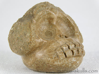 Aragonite Nodul Evolian Skull #05