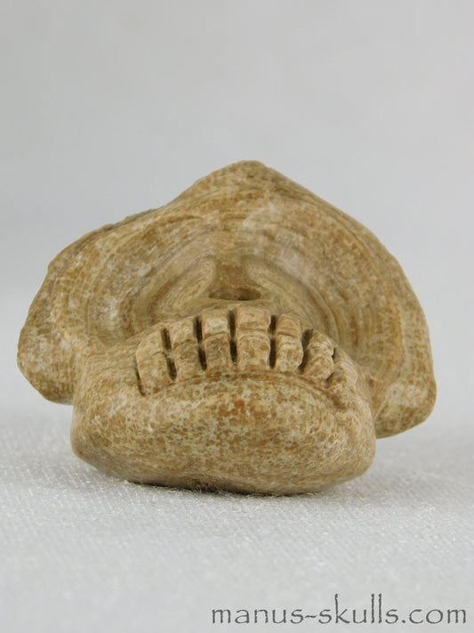 Aragonite Evolian Skull #06