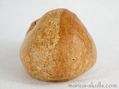 Steatite Evolian Skull #12