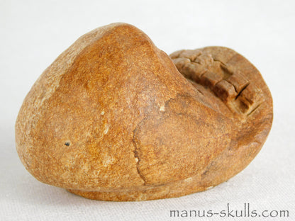 Steatite Evolian Skull #12