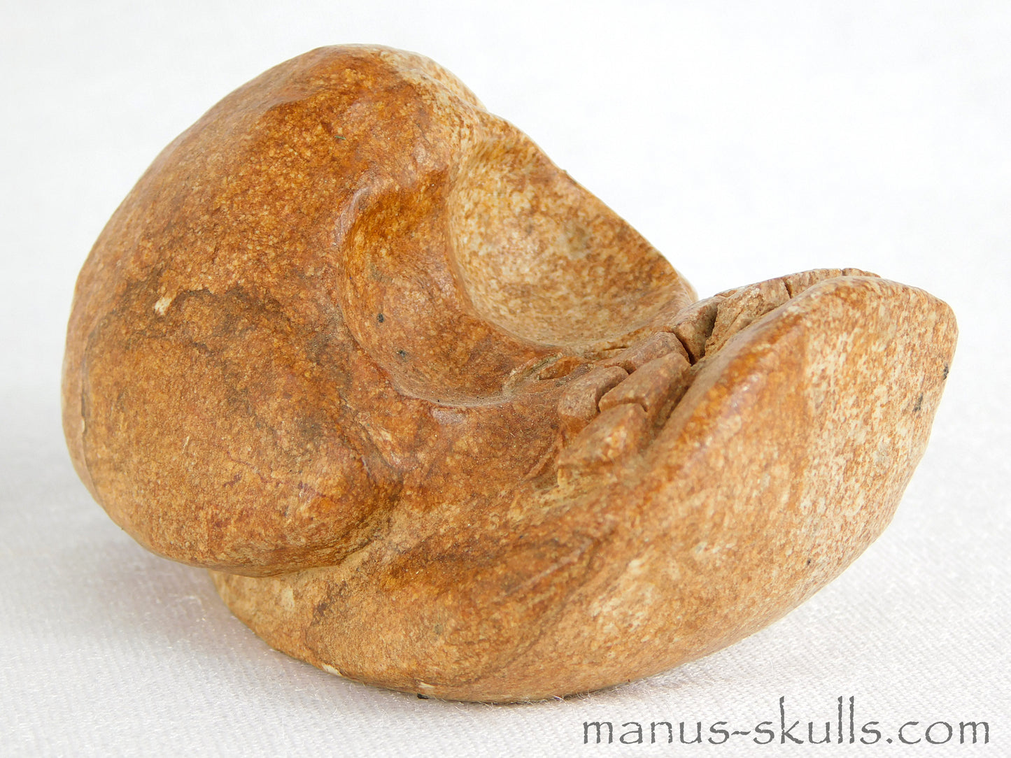 Steatite Evolian Skull #12