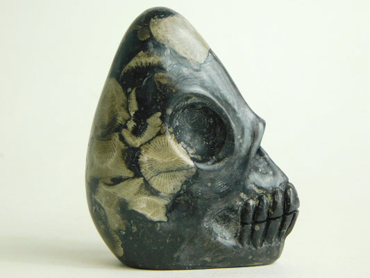 Frosterley Marble Skull