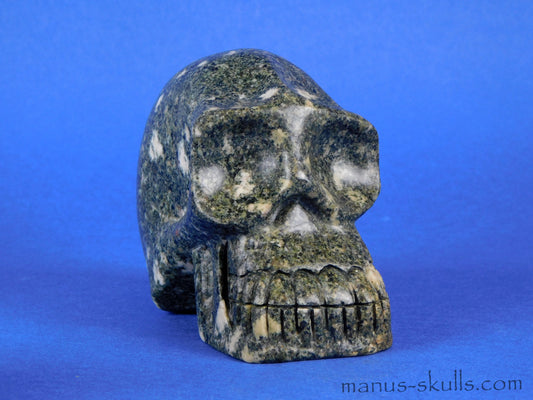 Preseli Bluestone Skull