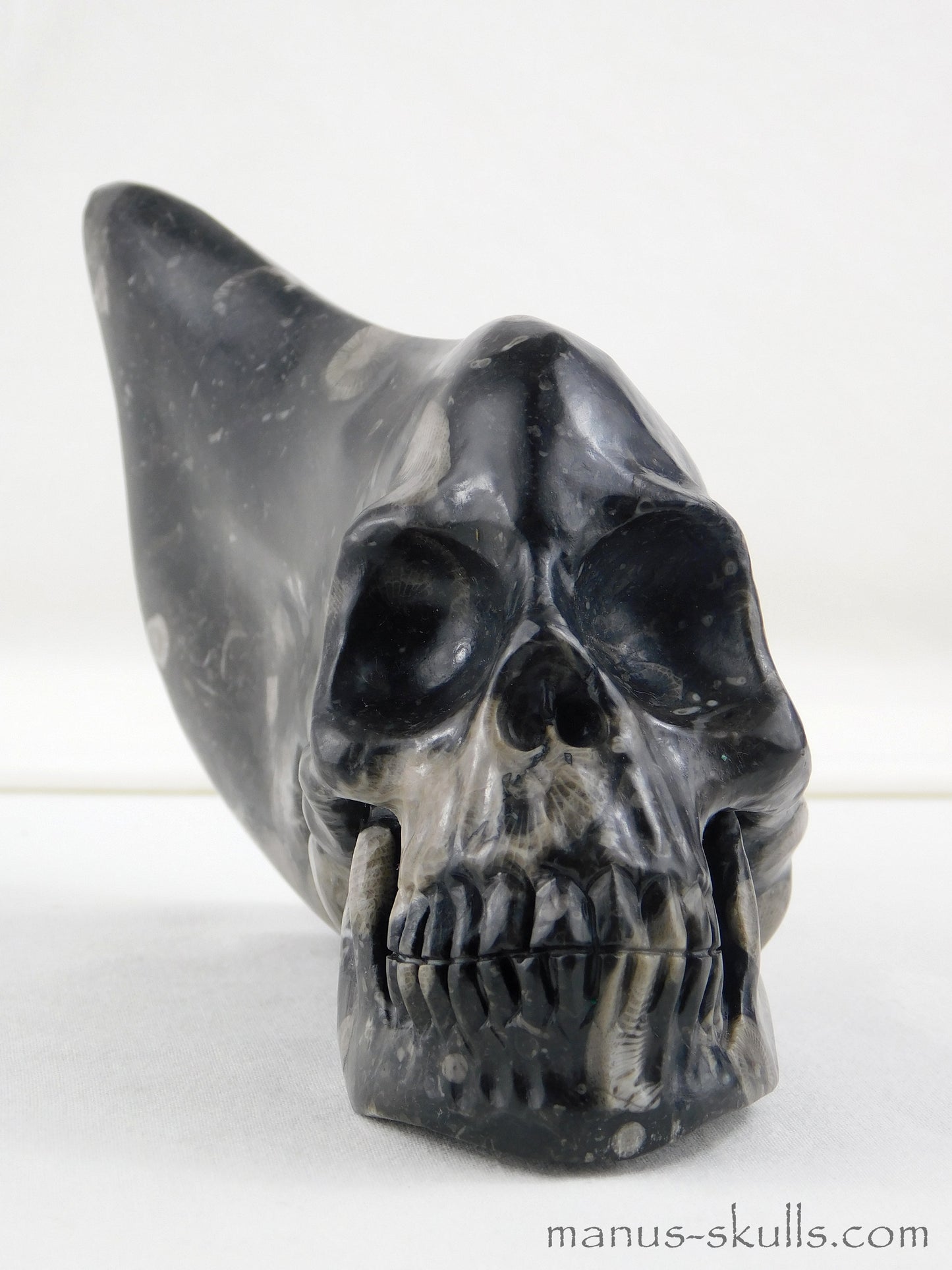 Frosterley Marble Traveller Skull