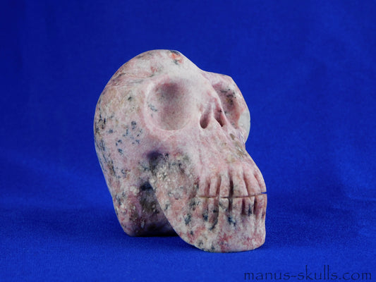 Petalite Skull