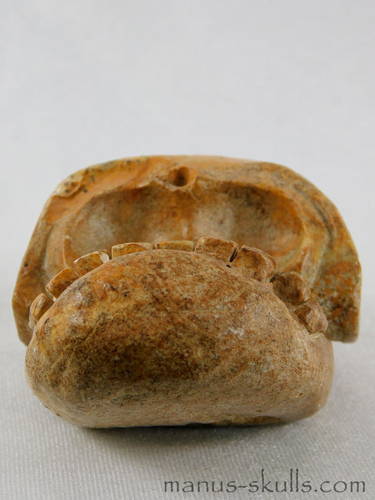 Steatite Evolian Skull #13