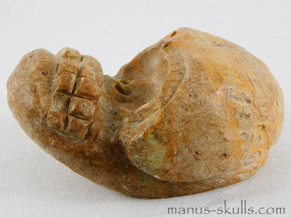 Steatite Evolian Skull #13