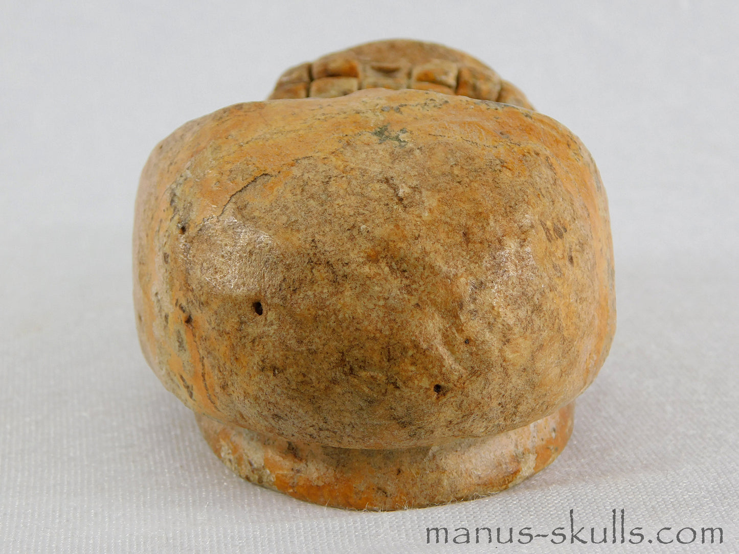 Steatite Evolian Skull #13