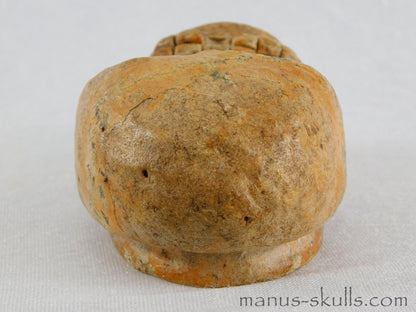 Steatite Evolian Skull #13