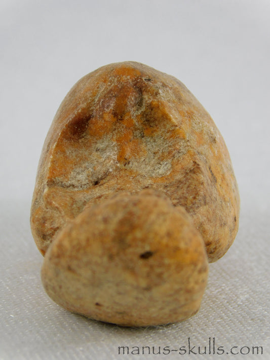 Steatite Evolian Skull #14