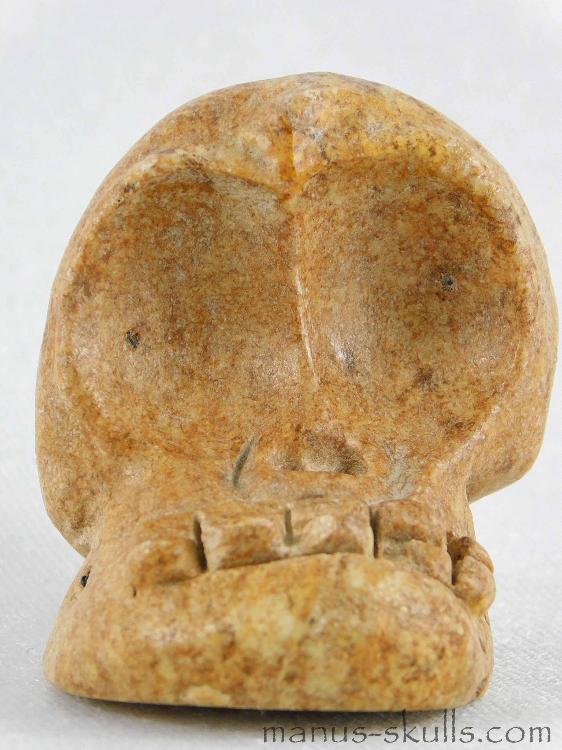 Evolian Manus Skull 2022